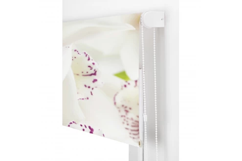 ROOM ORCHID PRINT ROLLED STORE