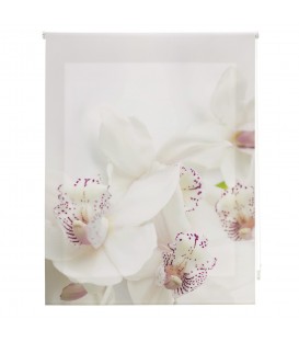 ROOM  ORCHID PRINT ROLLED STORE